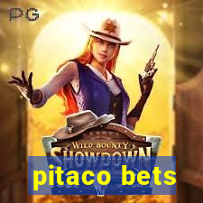 pitaco bets